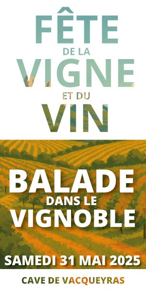 Balade dans le Vignoble |...