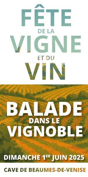 Balade dans le Vignoble |...