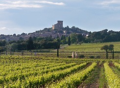 Châteauneuf-du-Pape