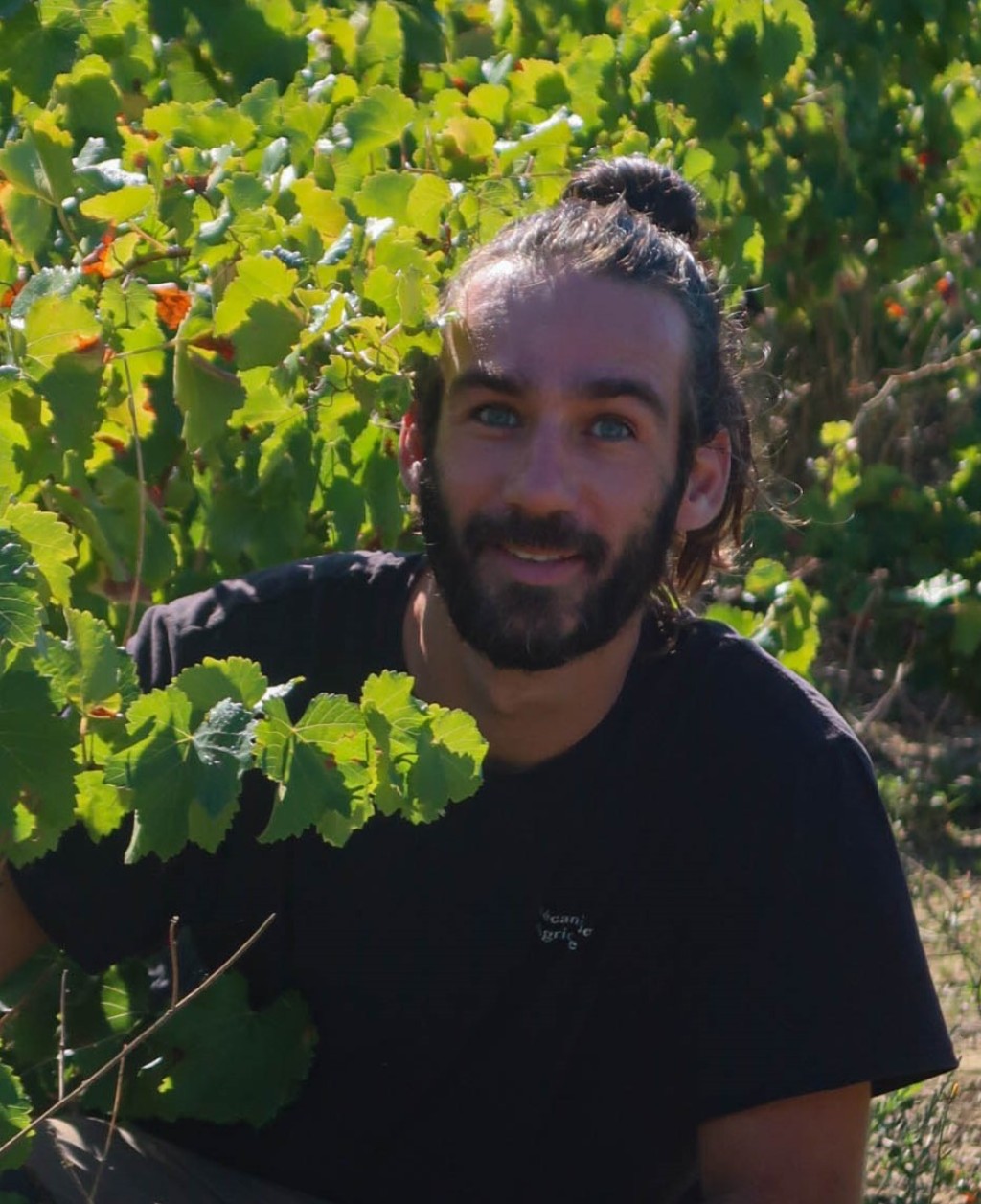 Nos artisans vignerons s'engagent : Jérôme Vache