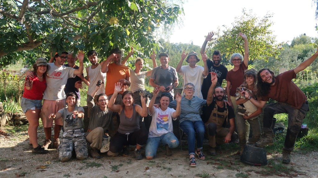 2024 vintage : focus on the crus