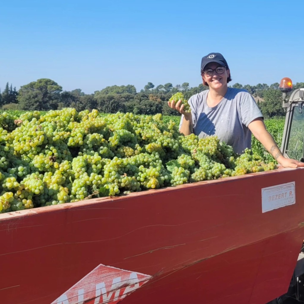 La carte à point un nouvel outil au service de la qualité des vins !