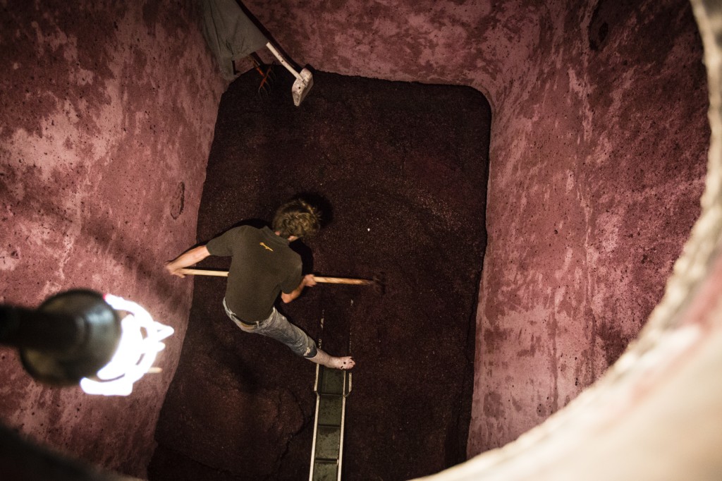 Les différentes étapes d'élaboration d'un vin 