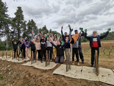 Le projet Antremond par Rhonéa Vignobles 