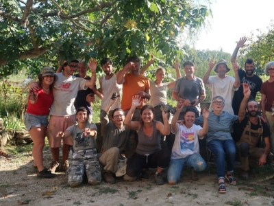 2024 vintage : focus on the crus