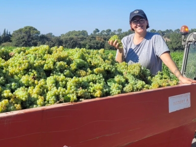 La carte à point un nouvel outil au service de la qualité des vins !