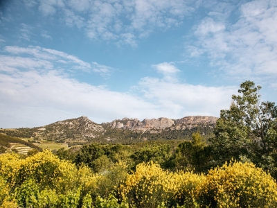 A la découverte de Beaumes de Venise