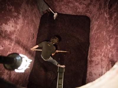 Les différentes étapes d'élaboration d'un vin 