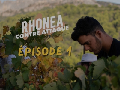 Episode 1 : Rhonéa Contre-Attaque : Fabien, Artisan Vigneron.